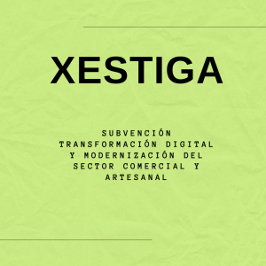 Subvención transformación digital