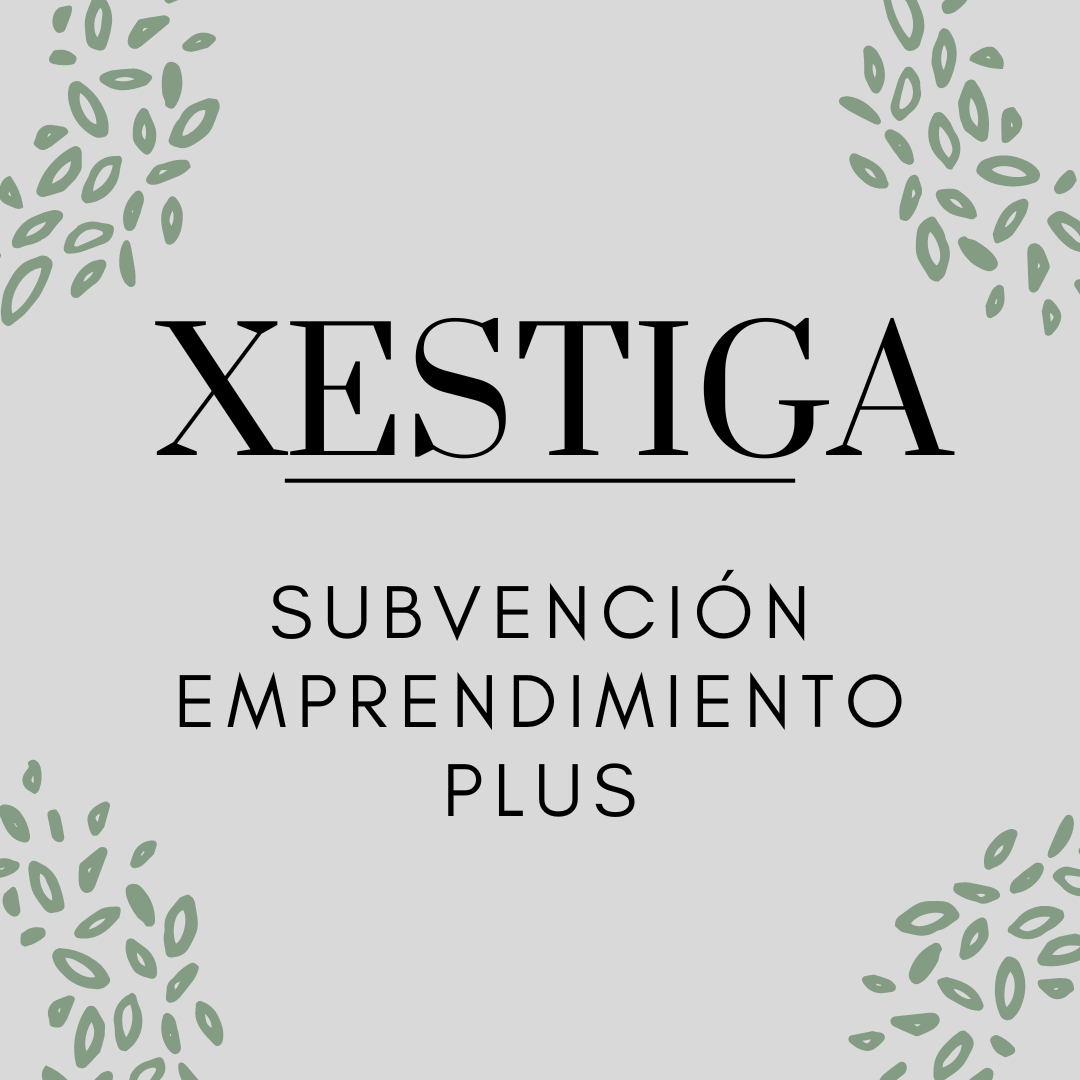 Subvención